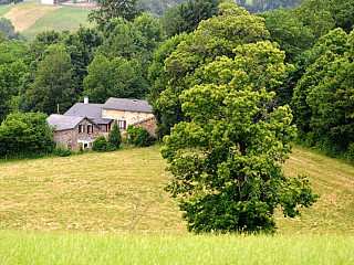 locations vacances Cottage Tarn Countryside à SAINT-PIERRE-DE-TRIVISY