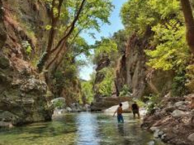 Locations meublées avec piscine en Corse à Moltifao - Camping***