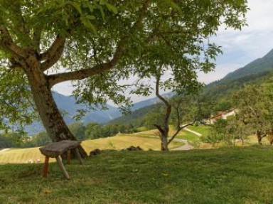 Gîte rural dans maison indépendante - Chezery Forens dans l'Ain