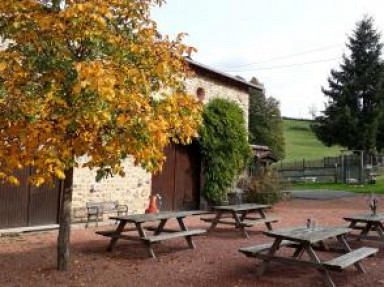 Gîte au vert, idéal famille, animaux à la ferme, piscine - Loire