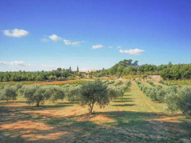 Domaine de Conillières - 5 Gîtes avec piscine de 2 à 5 personnes - Var