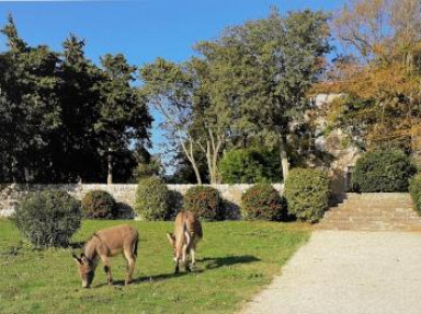 Domaine de Conillières - 5 Gîtes avec piscine de 2 à 5 personnes - Var