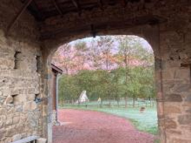 Gîte au vert, idéal famille, animaux à la ferme, piscine - Loire