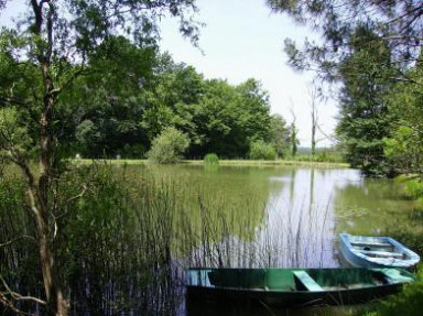 Gîte de France en Périgord, Bergerac. Etang de pêche, animaux acceptés