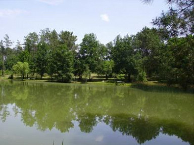 Gîte de France en Périgord, Bergerac. Etang de pêche, animaux acceptés