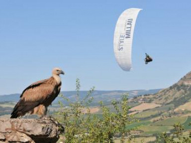 Gite la Grange à Montjaux en Aveyron