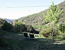 Gîte rural en Cévennes Méridionales dans le Gard à Saint Martial