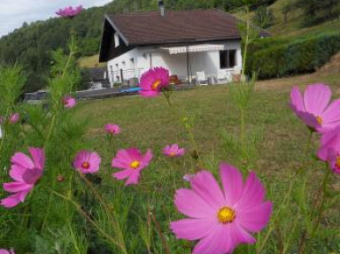 Gîte 2** reposant, 2 à 4 pers montagne, ski, La Bresse, Vosges, Alsace