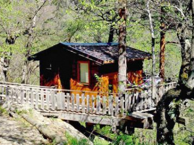 Maisons dans les arbres aux portes du Mercantour - Alpes Maritimes