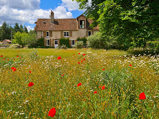 locations vacances Cottage Loir-et-Cher Countryside à CROUY-SUR-COSSON