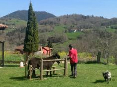 Gite rural en Asturias - Apartamentos rurales La Quintana de Romillo