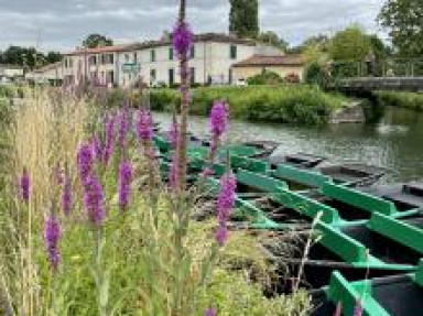 Gîtes jusqu’à 16 personnes au cœur du Marais Poitevin Vendée