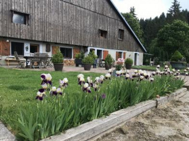 Gites et chalet dans le Haut-Doubs - Doubs à Hauterive la Fresse