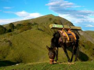 Gite la Pale idéalement situé au coeur des Pyrénées