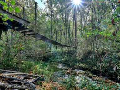 Gîtes des Libellules en pleine nature - Lodève - Lunas - Hérault