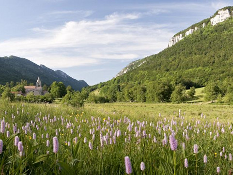 Gîte grand confort dans le Vercors - Drôme, pour 10-12 personnes