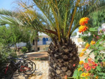 locations vacances, Puglia
