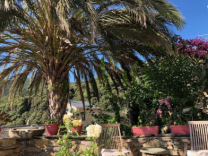locations vacances, Haute-Corse