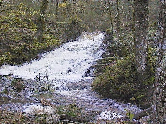 tourisme et gite foret de Paimpont